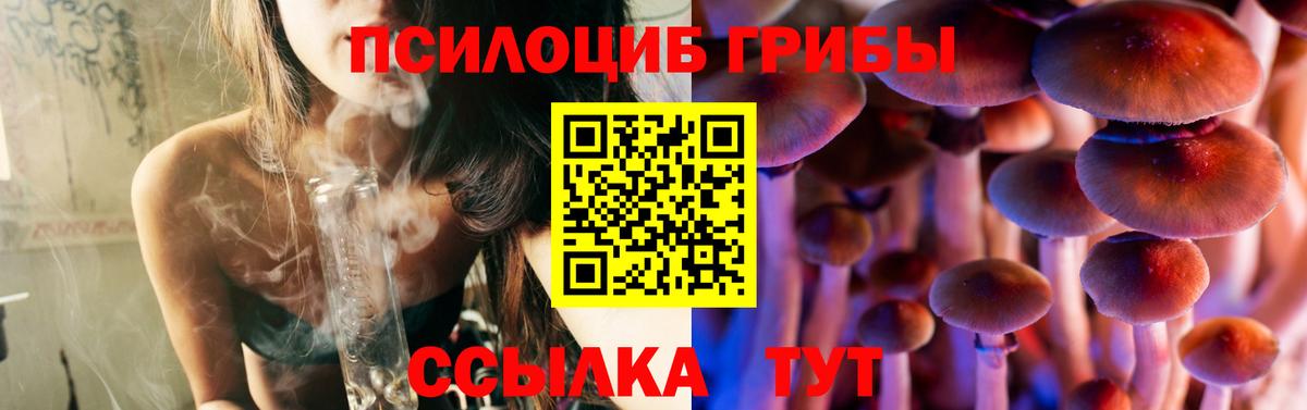Верхняя Пышма  Псилоцибиновые грибы Cubensis  продажа наркотиков  Псилоцибиновые грибы мицелий  Вход с VPN 